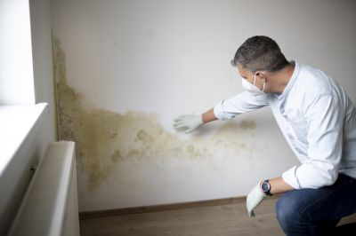 Mold Prevention Measures