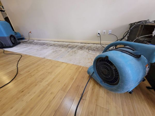 Cost of Water Damage Mitigation in Fenton