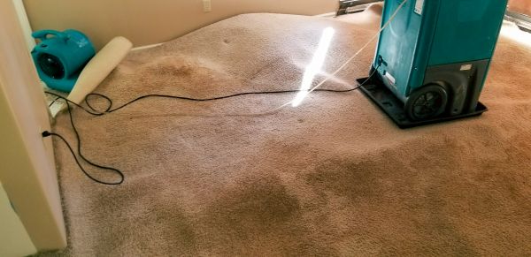Cost of Flood Damage Cleanup in Fenton