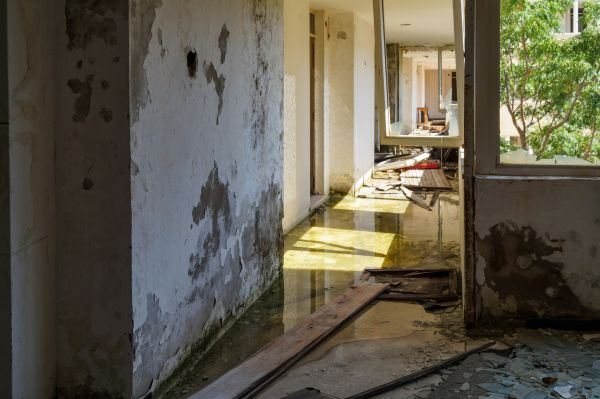 Cost of Water Removal Service in Fenton