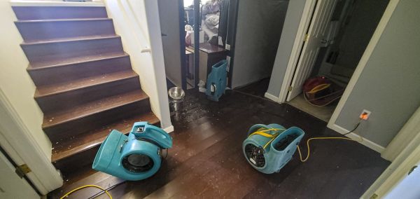 Cost of Water Damage Remediation in Fenton