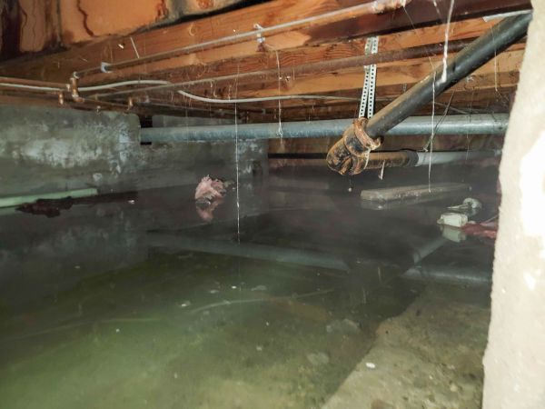 Cost of Water Mitigation Service in Fenton