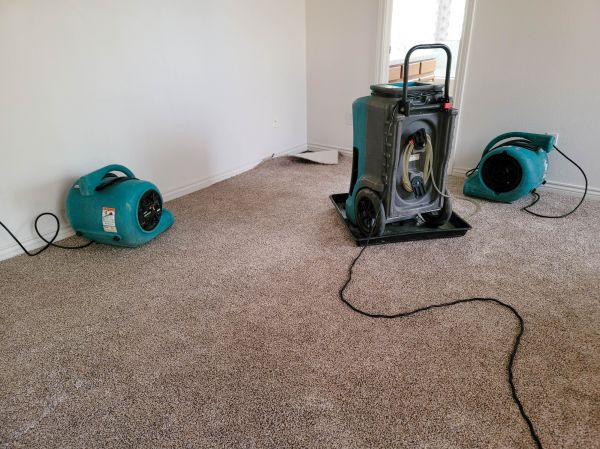 Cost of Water Damage Repair in Fenton