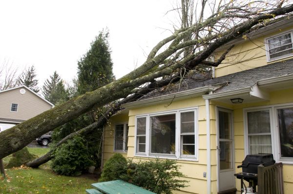 Cost of Hurricane Damage Repair in Fenton
